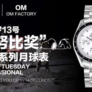 OM Omega Moonwatch Super Fake Professional Lunar Watch with Swiss Chrono Movement - Image 5